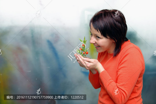 美麗女孩控股年輕工廠
