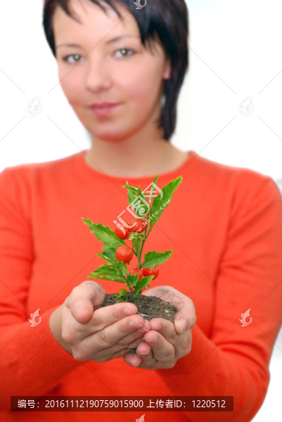 美麗女孩控股年輕工廠