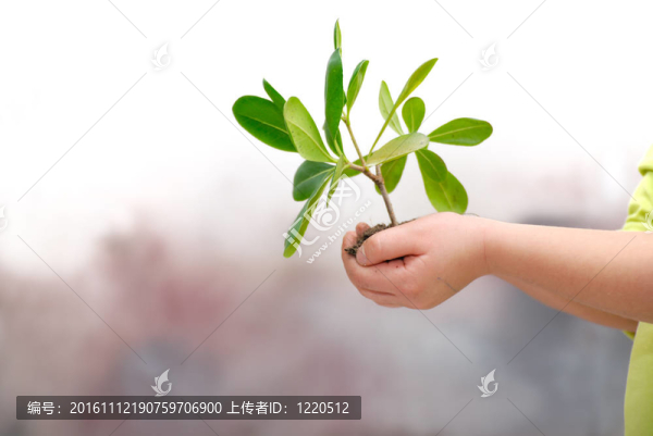 增長的概念