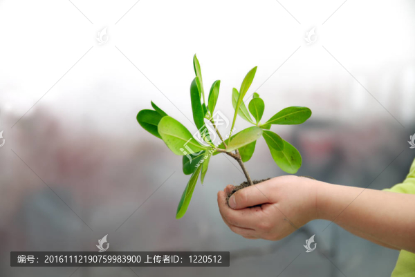 增長的概念