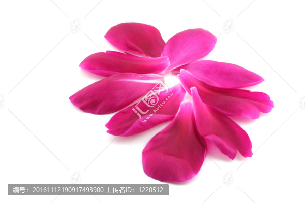 花瓣花瓣。
