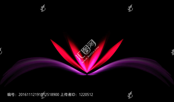 紫色的花