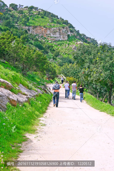 阿卡馬斯半島