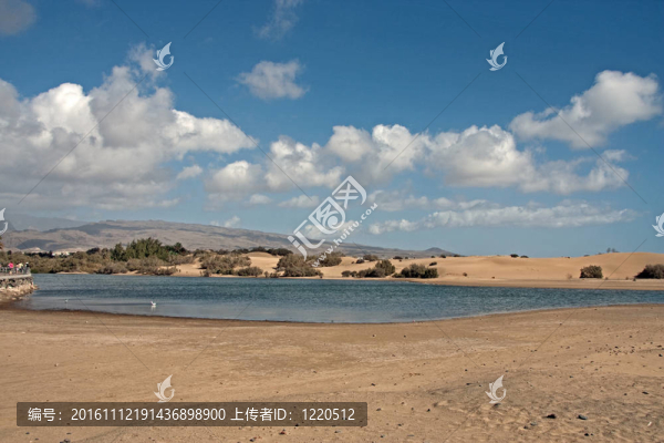 沙丘在馬斯帕洛馬斯；大加那利島
