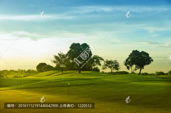 高爾夫果嶺