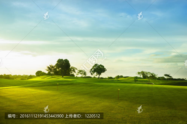 高爾夫果嶺