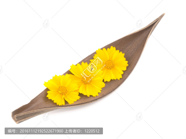 夏季裝修