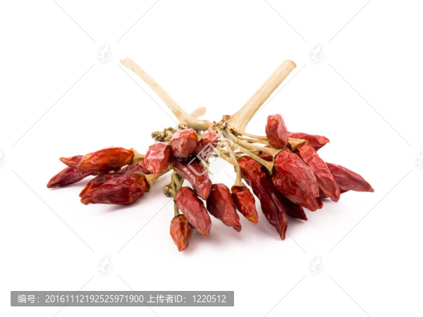 白色背景上的紅辣椒