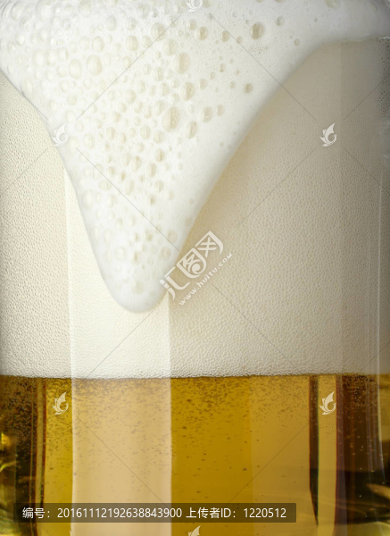 啤酒杯啤酒杯飲料酒