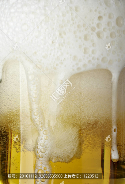 啤酒杯啤酒杯飲料酒