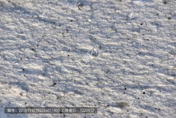 雪附近的鐵路