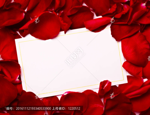 賀卡玫瑰花瓣慶祝圣誕愛