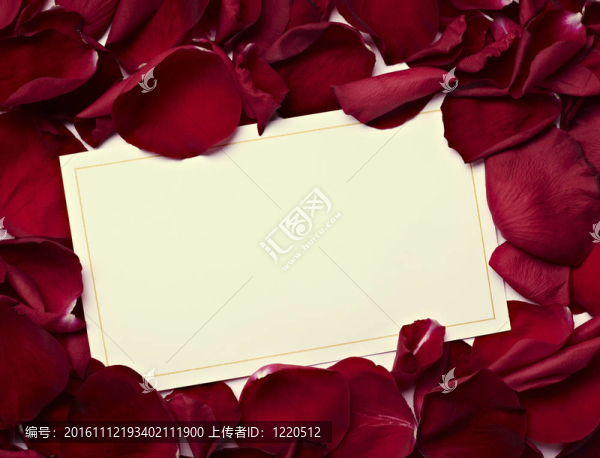 賀卡玫瑰花瓣慶祝圣誕愛