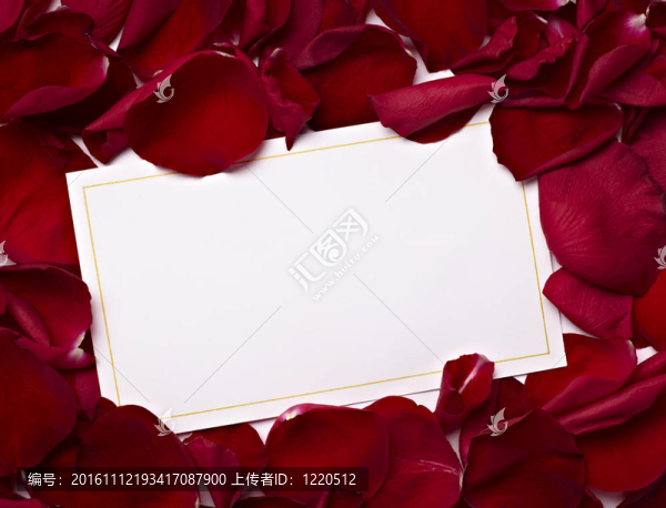 賀卡玫瑰花瓣慶祝圣誕愛(ài)