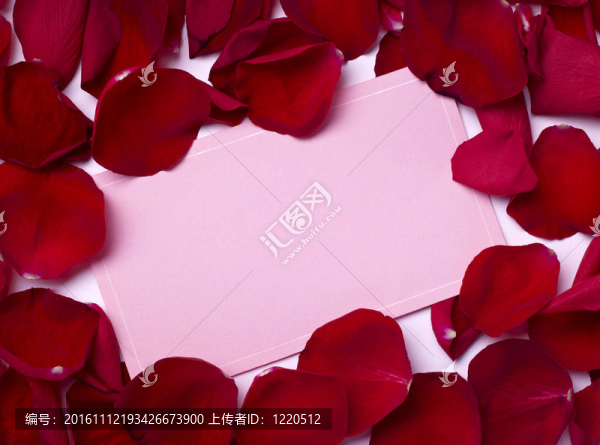 賀卡玫瑰花瓣慶祝圣誕愛(ài)