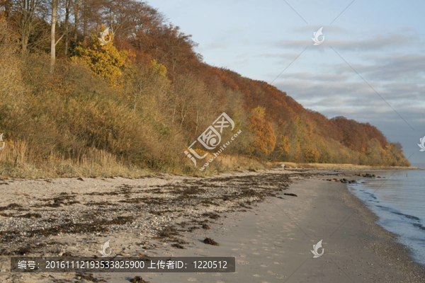 在秋天的海灘