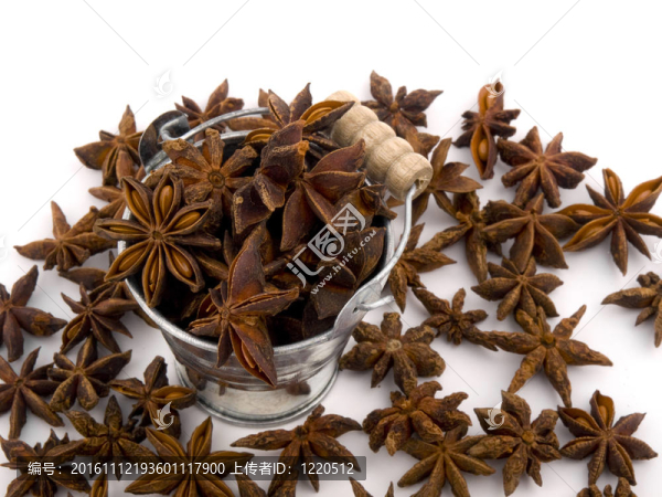 在小水桶芳香茴香