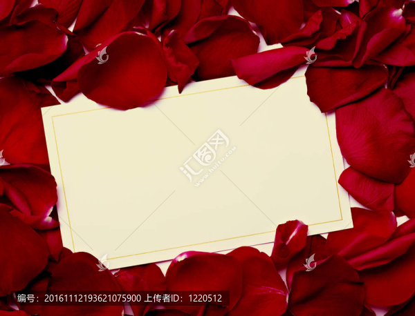 賀卡玫瑰花瓣慶祝圣誕愛