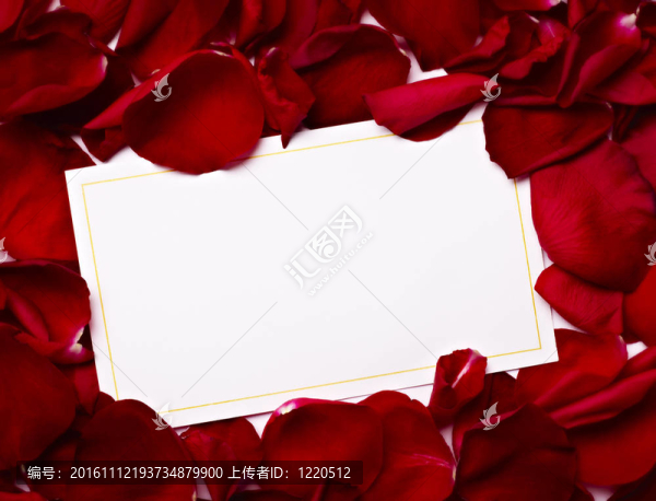 賀卡玫瑰花瓣慶祝圣誕愛