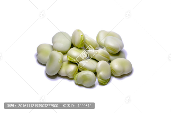 白色背景的蠶豆