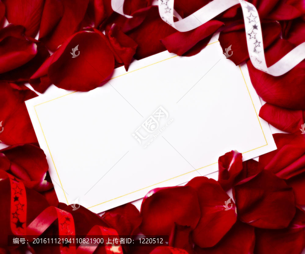 賀卡玫瑰花瓣慶祝圣誕愛