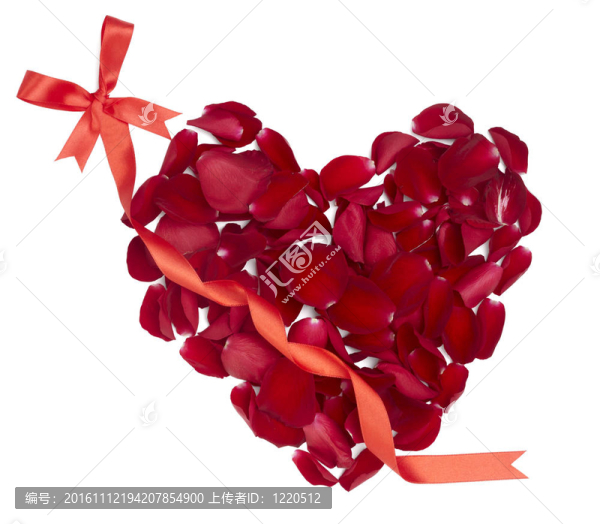 心形玫瑰花瓣花愛情人節(jié)