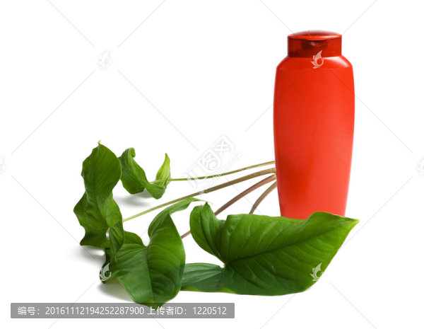 對shampooand綠葉瓶