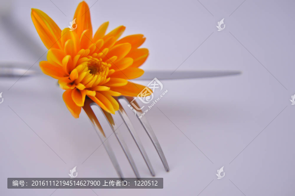 帶叉和刀的黃色花