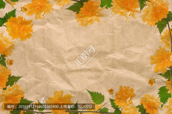 黃色的花框