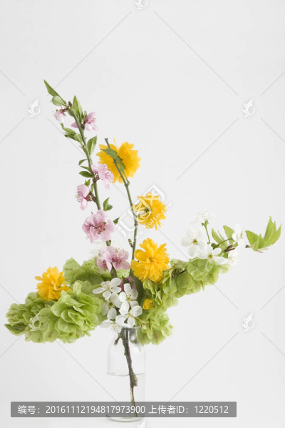 春天的花香