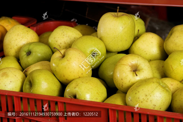 紅盒子與新鮮的綠色蘋果