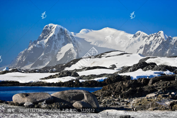 美麗的雪山