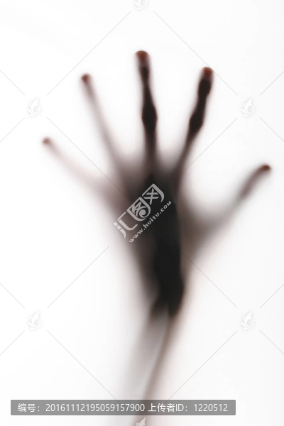 解剖五