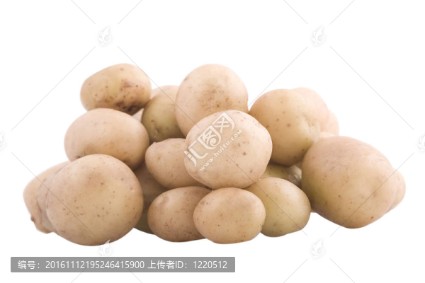 生土豆