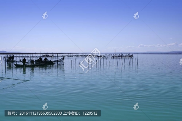 Albufera瓦倫西亞湖濕地的地中海