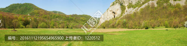 景觀全景