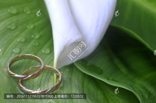calla,lily和結(jié)婚戒指