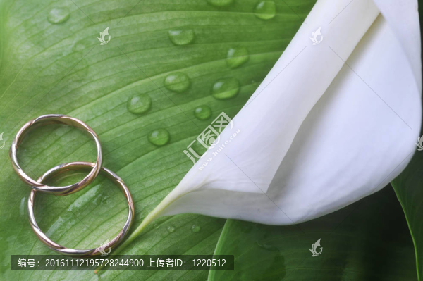 白色的花，綠色的葉子和結(jié)婚戒指