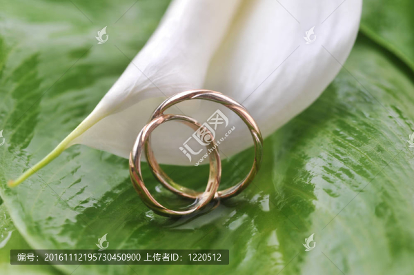 calla,lily和結(jié)婚戒指
