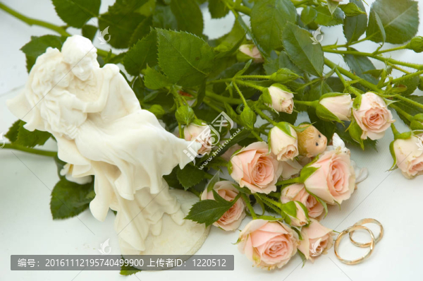 環(huán)和玫瑰
