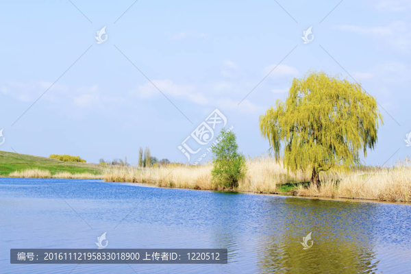 從岸邊看河