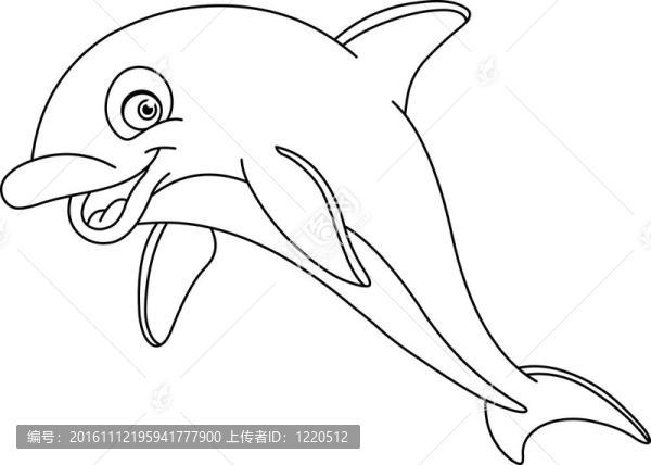 概述海豚