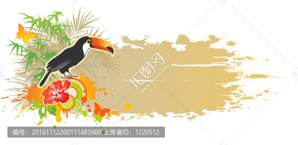 熱帶夏季背景