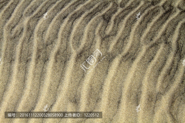 沙浪