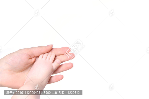 嬰兒腳在母親手