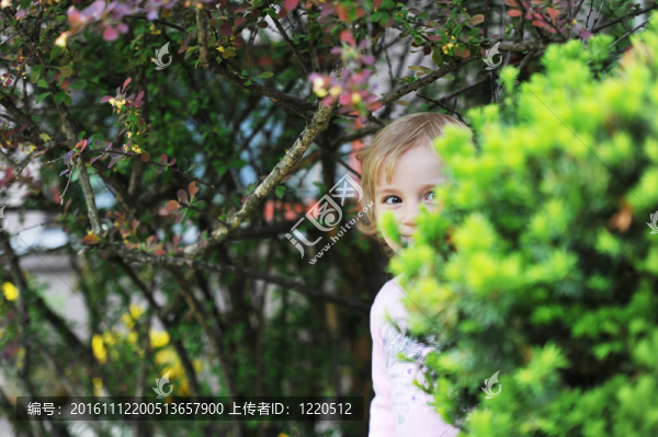 小女孩-匯圖網(wǎng) www.fosd68.com 小女孩