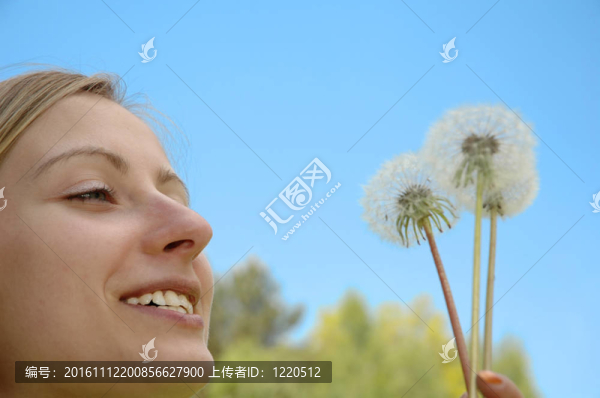 女孩吹蒲公英