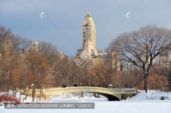 紐約市冬季中央公園全景