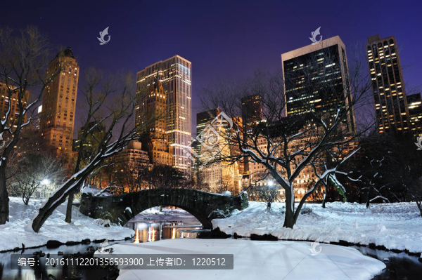 紐約市中央公園全景黃昏