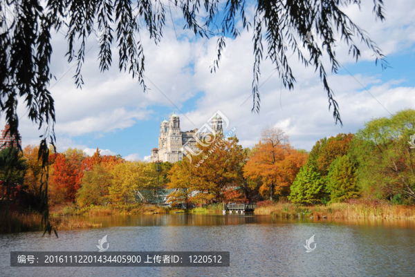中央公園